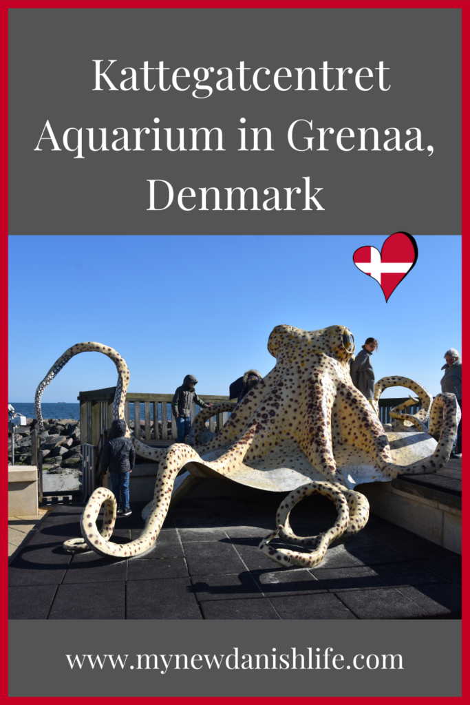 kattegatcentret aquarium in Grenaa, Denmark Pinterest Pin