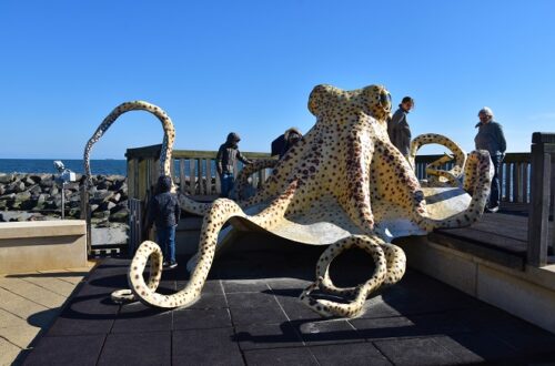 giant octopus playground at kattegatcentret aquarium in grenaa, denmark