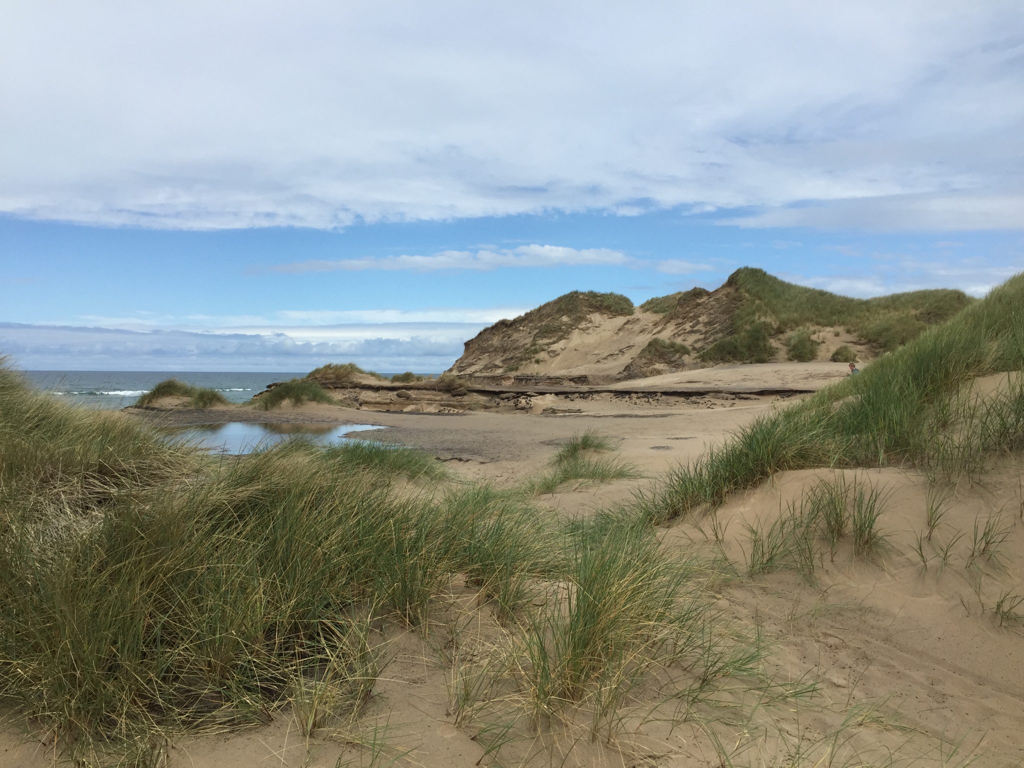 National Park Thy in Northwestern Denmark - My New Danish Life