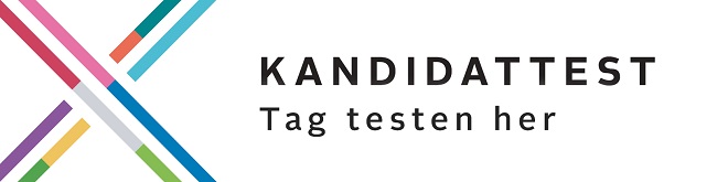 kandidattest from TV2FYN.dk for Danish local elections