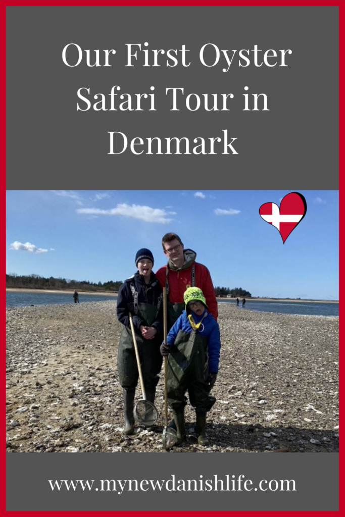 oyster safari tour in Limfjord, Denmark