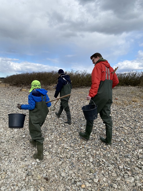 oyster safari, oyster harvesting tools, denmark with kids