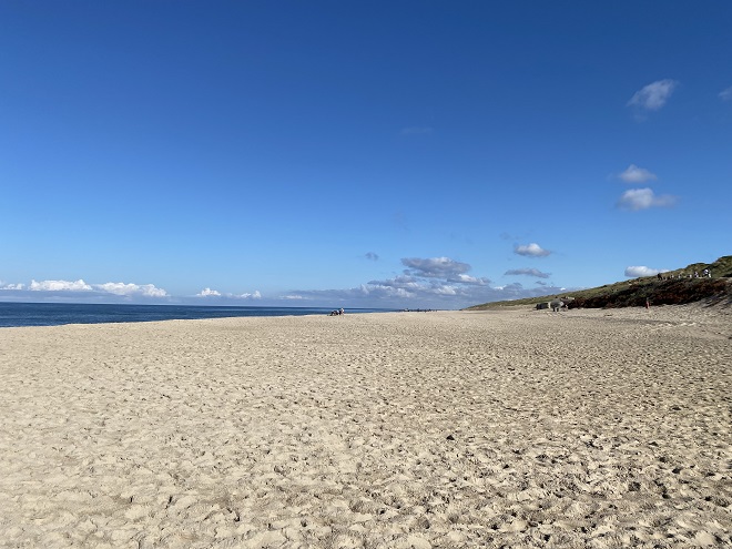 sondervig-strand-beach-in-western-denmark