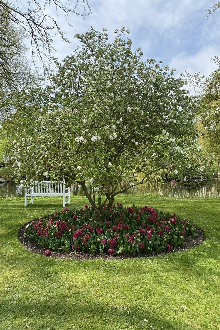 Gavnø Slotspark in Denmark in the spring