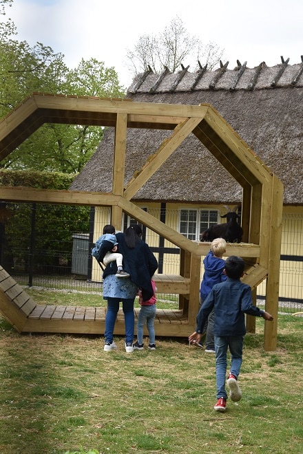 Goat area at Gavnø Slot in Denmark