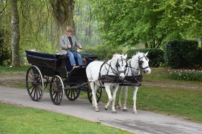 Horse-drawn carriage at the Gavnø Slot Castle in Denmark