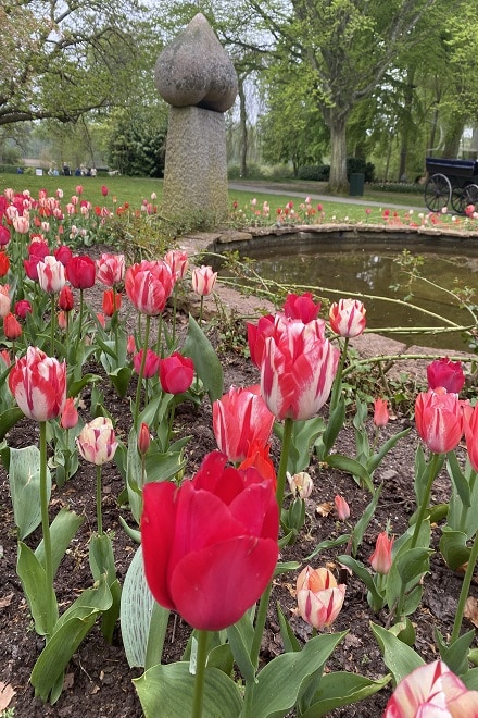 Niigata-and-Spryng-Break-Tulips-Gavno-Slot-Denmark